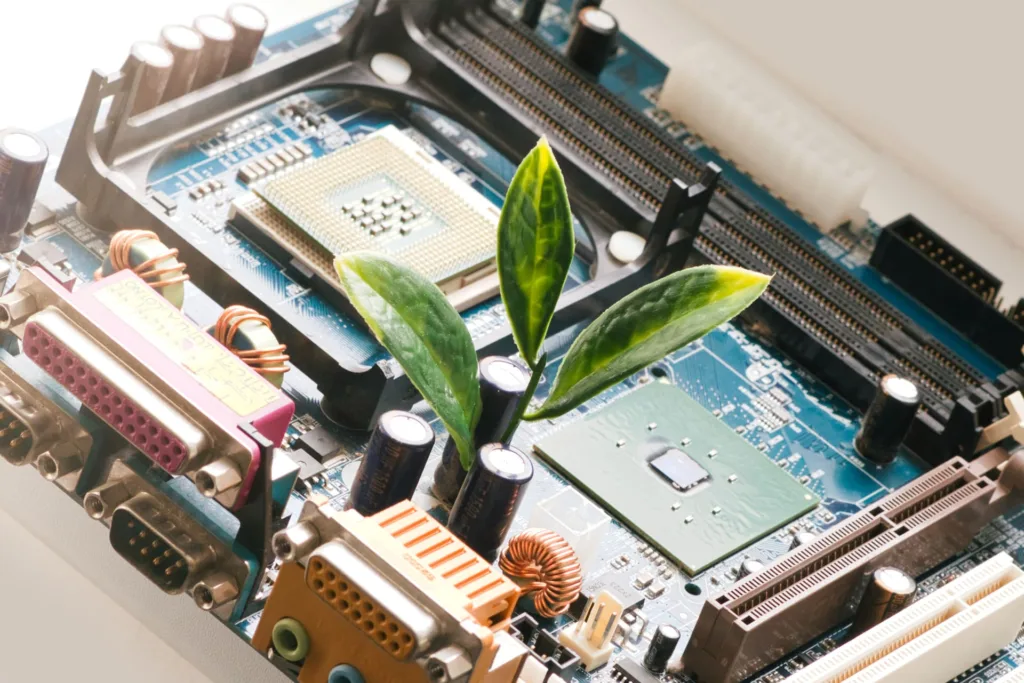 Epitech et le Digital Cleanup Day