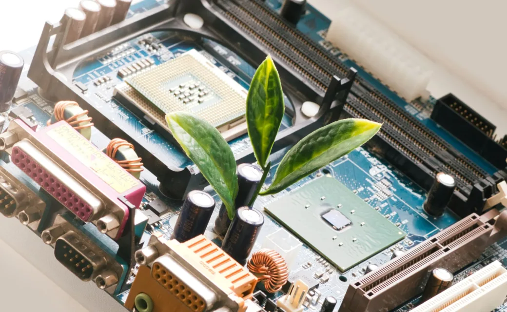 Epitech et le Digital Cleanup Day