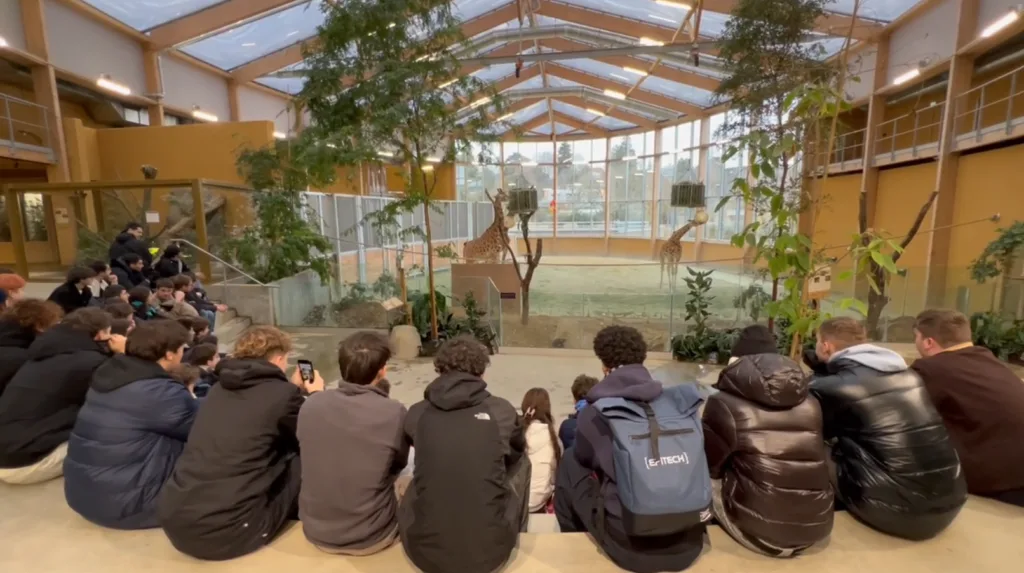 Hackathon Week Mulhouse 2026&nbsp;: 45 étudiants d’Epitech imaginent des applications pour le Parc Zoologique et Botanique