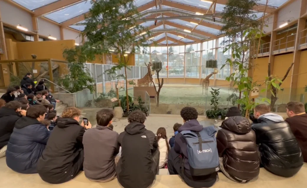 Hackathon Week Mulhouse 2026&nbsp;: 45 étudiants d’Epitech imaginent des applications pour le Parc Zoologique et Botanique